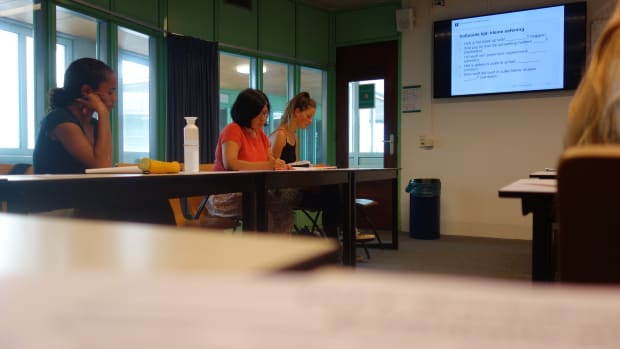 Podcast | Joen Hermans: &lsquo;Van Goghs schilderijen zagen er in 1890 heel anders uit&rsquo; 